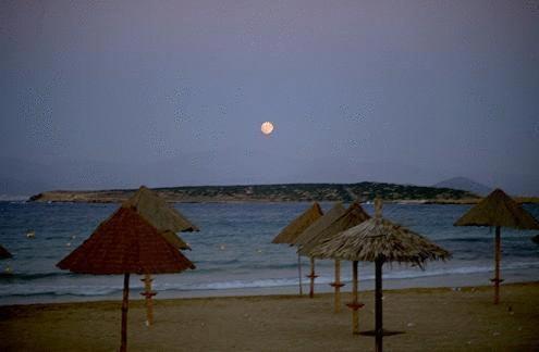 Surfing Beach Huts Santa Maria  Ngoại thất bức ảnh